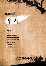 淝滨札记  醒着 封面