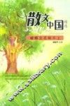 蝴蝶立在秋千上 封面