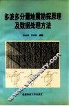多波多分量地震勘探原理及数据处理方法 封面