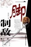 一脚制敌 封面