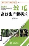 丝瓜高效生产新模式 封面