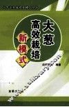 大葱高效栽培新模式 封面