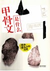 甲骨文是什么 封面
