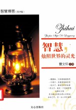 智慧，烛照世界的灵光 电子书封面