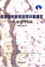 低渗饱和软弱层带环氧灌浆  研究与实践 封面