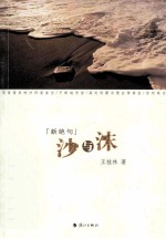 新绝句  词的沙与沫 封面
