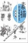 素描的温暖时光  花卉篇 封面