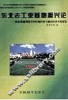东北老工业基地振兴论  国家战略推进中的区域经济与城市经济开发研究 封面