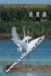 鹤鹭鹳 封面