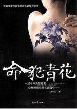 命犯青花 封面