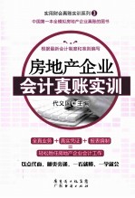 房地产企业会计真账实训 封面