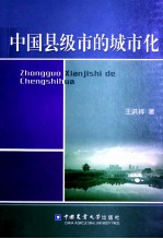 中国县级市的城市化 封面