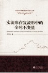 实流形在复流形中的全纯不变量 封面