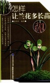 怎样让兰花多长苗 封面