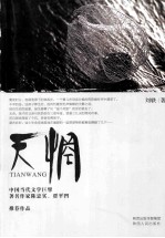 天惘 封面
