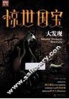惊世国宝大发现 封面