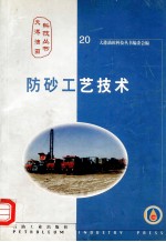 防砂工艺技术 封面