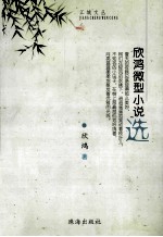 欣鸿微型小说选 电子书封面