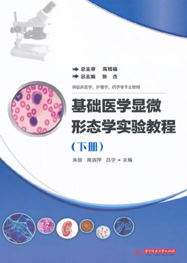 基础医学显微形态学实验教程  下 封面