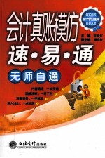 会计真账模仿速易通 封面