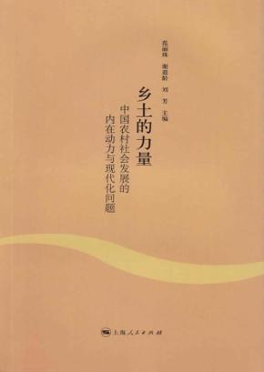乡土的力量  中国农村社会发展的内在动力与现代化问题 封面
