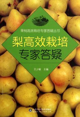 梨高效栽培专家答疑 封面