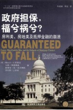 政府担保，福兮祸兮？ 电子书封面