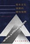 青年文化浪潮的理性观照 封面