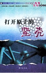 打开原子的坚壳 封面