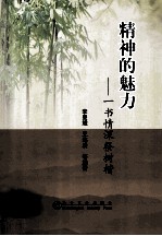 精神的魅力  一书情深祭树楷 封面
