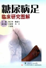 糖尿病足临床研究图解 封面