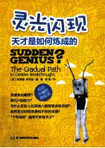 灵光闪现  天才是如何炼成的 封面