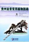 贵州盆景常用植物图谱 封面