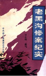 老黑沟惨案纪实 封面