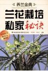 养兰金典  兰花栽培私家秘诀 封面
