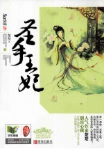 圣手王妃  上 封面