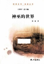 神巫的世界 封面