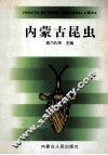 内蒙古昆虫