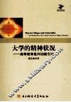 大学的精神状况  高等教育批判功能引论 封面