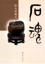 石魂唐大璋藏石 封面