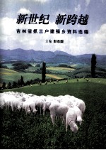新世纪新跨越  吉林省抓三户建强乡资料选编 封面