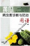 黄瓜病虫害诊断与防治图谱 封面