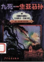 九死一生亚马孙：灯笼裤少年在巴西 封面