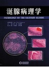 涎腺病理学 封面