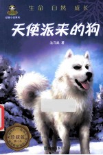 倔小孩  天使派来的狗 封面