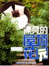 漂亮的屋顶花园 封面