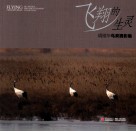 飞翔的生灵  胡维华鸟类摄影集 封面