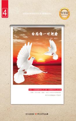 给思维一对翅膀  智慧篇 封面