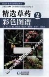 精选草药彩色图谱  2 封面
