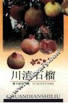 川滇石榴 封面